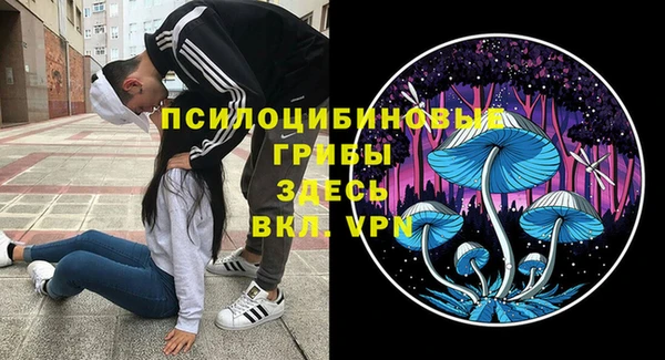 ALPHA-PVP Алексин